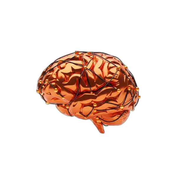 Deep Learning Solutions